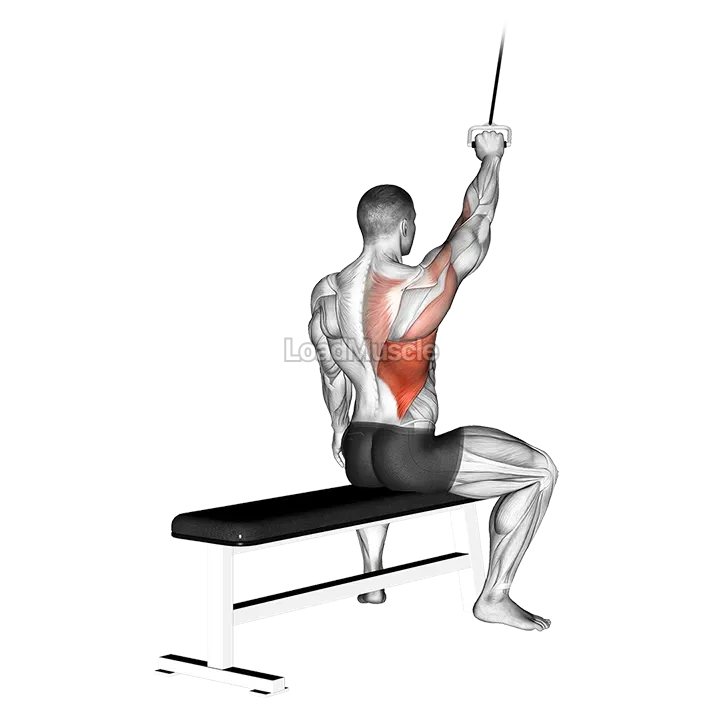 Alternate Lateral Pulldown demonstration