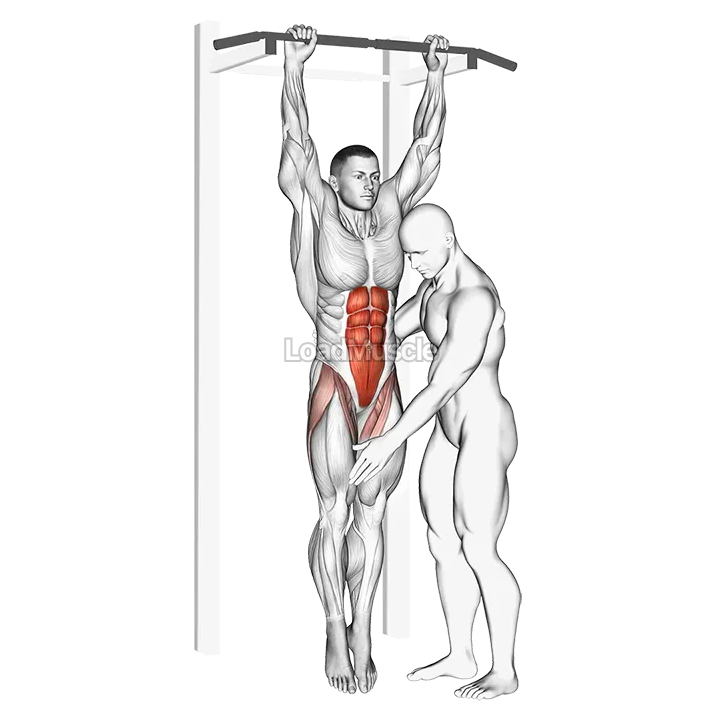 Assisted Hanging Knee Raise demonstration