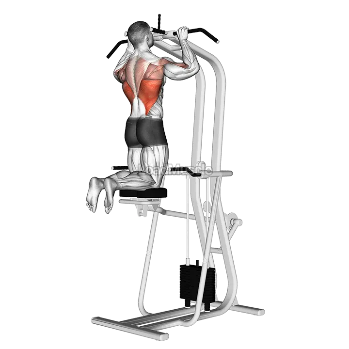 Assisted Pull up demonstration