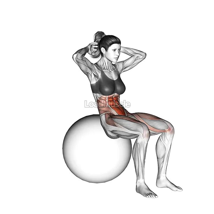 Ball Sit up (on stability ball) demonstration