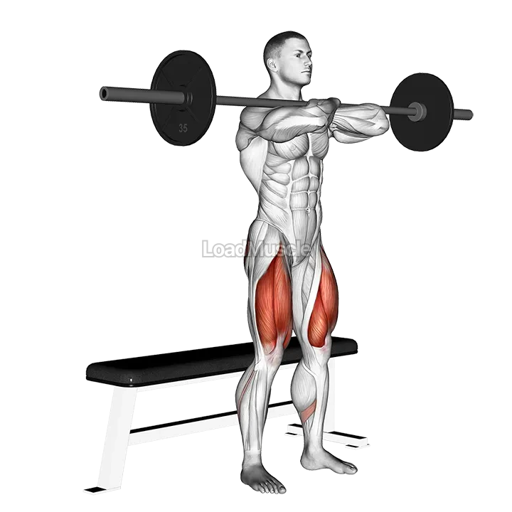 Barbell Bench Front Squat demonstration