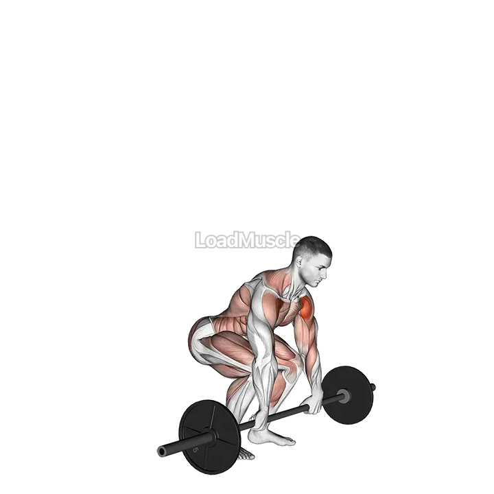 Barbell Clean and Press demonstration