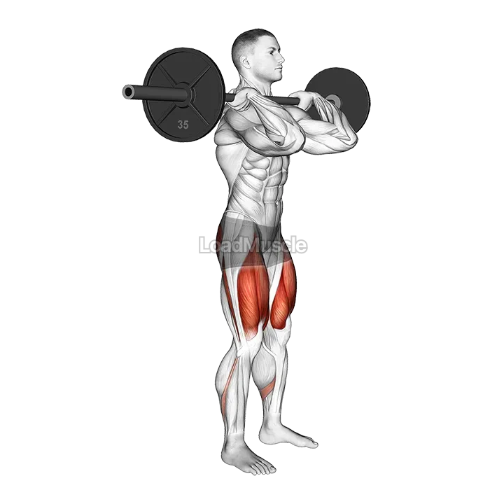 Barbell Clean grip Front Squat demonstration