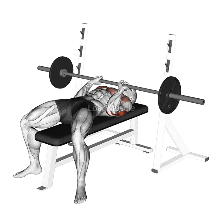 Barbell Close Grip Bench Press demonstration