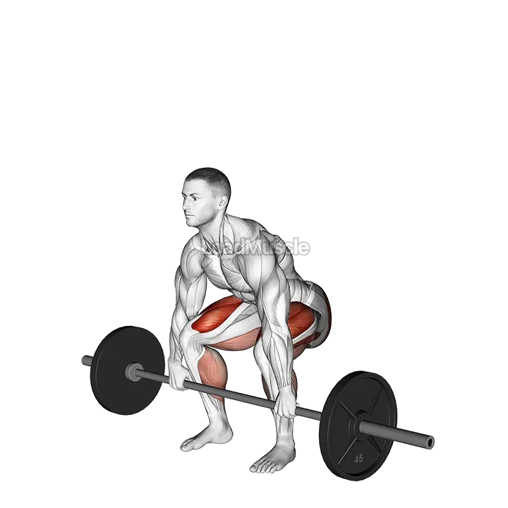 Barbell Deadlift demonstration