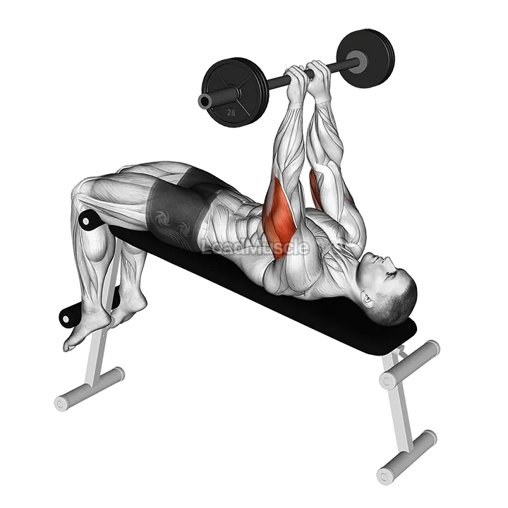 Barbell Decline Close Grip To Skull Press demonstration