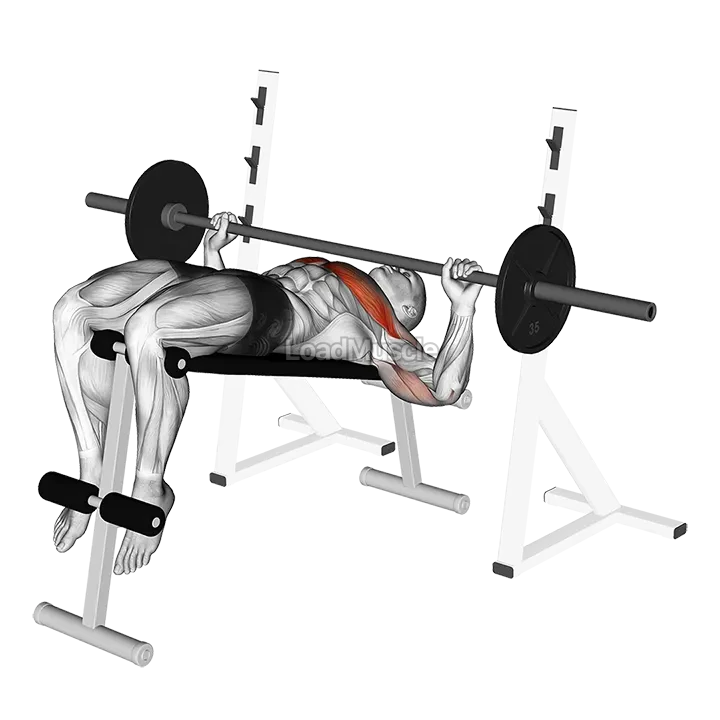 Barbell Decline Wide grip Press demonstration