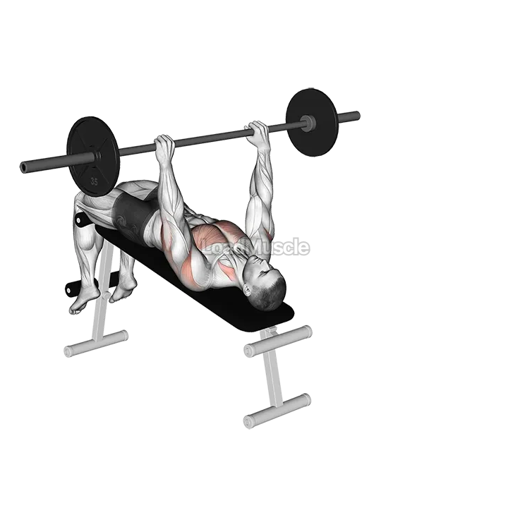 Barbell Decline wide grip pullover demonstration