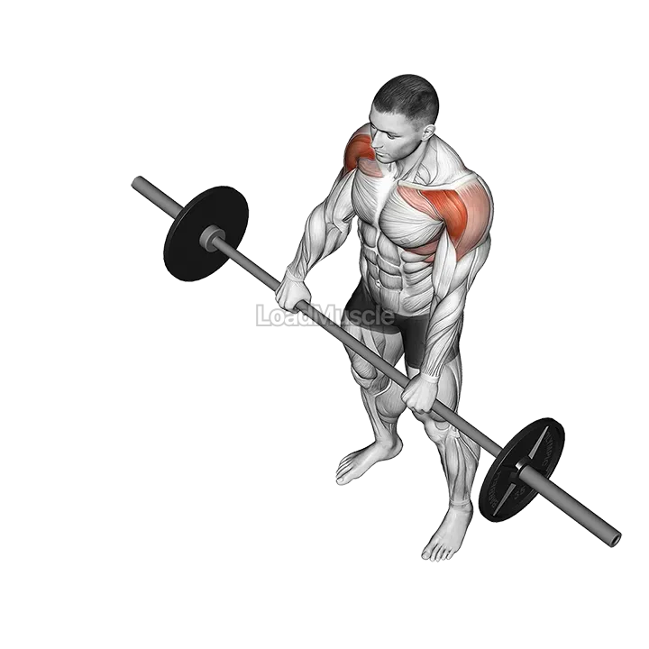 Barbell Front Raise demonstration