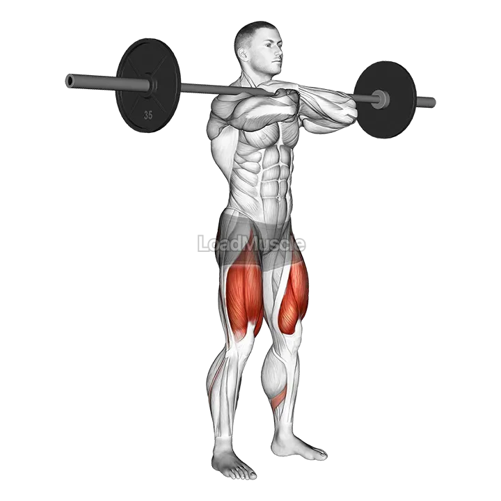Barbell Front Squat demonstration