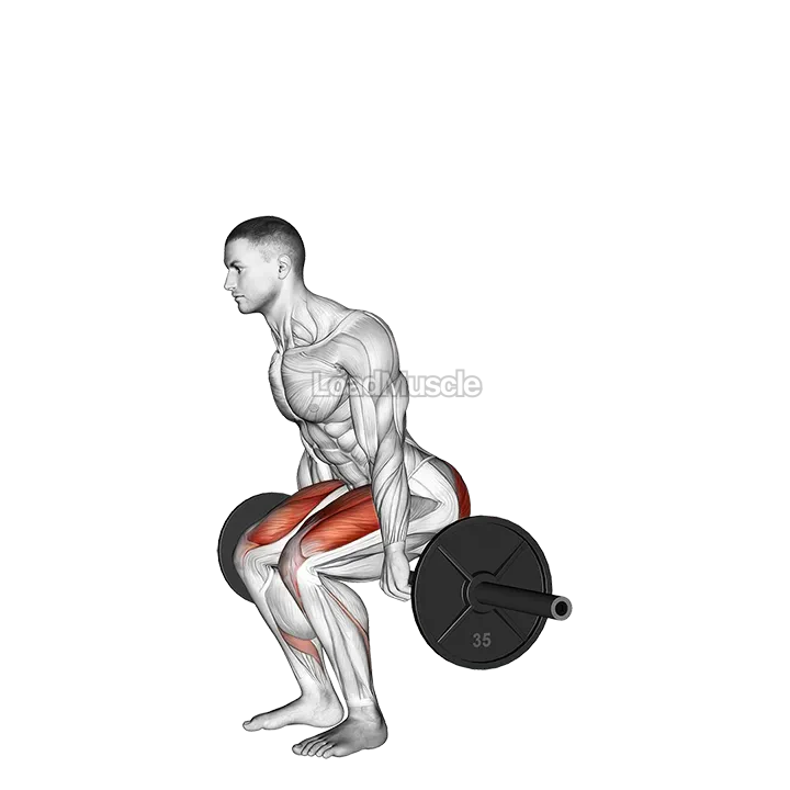 Barbell Hack Squat demonstration