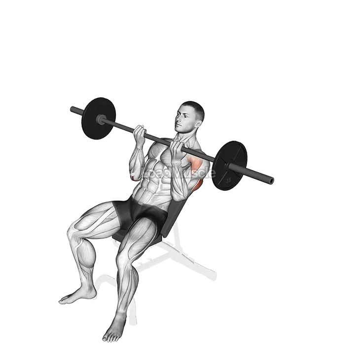 Barbell Incline Reverse grip Press demonstration