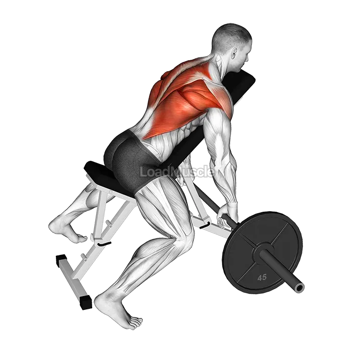 Barbell Incline Row demonstration