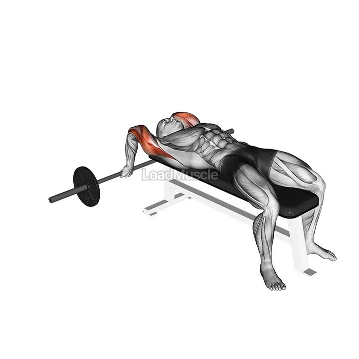 Barbell Lying Close grip Triceps Extension demonstration