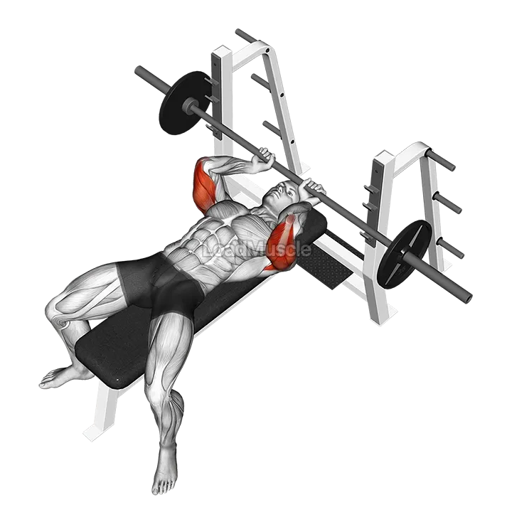 Barbell Lying extension demonstration