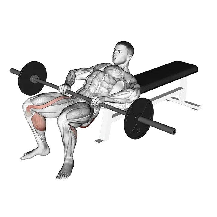 Barbell Lying Lifting (on hip) demonstration