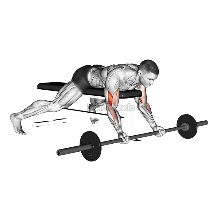 Barbell Lying Preacher Curl demonstration