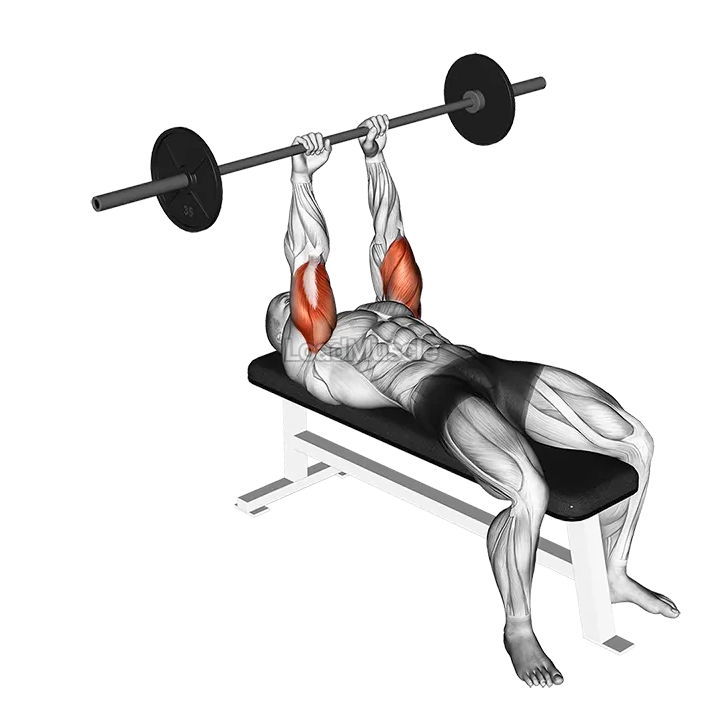 Barbell Lying Triceps Extension demonstration