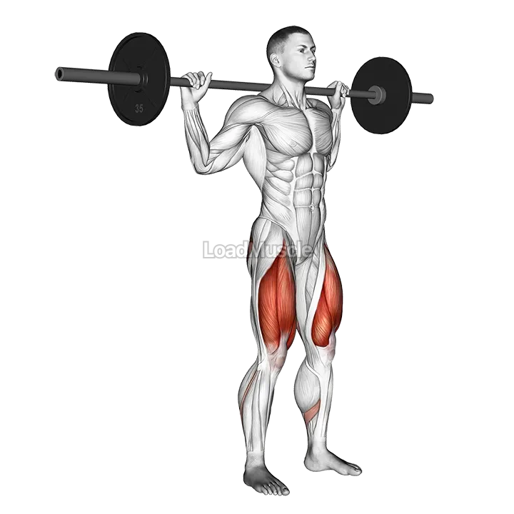 Barbell Narrow Stance Squat demonstration