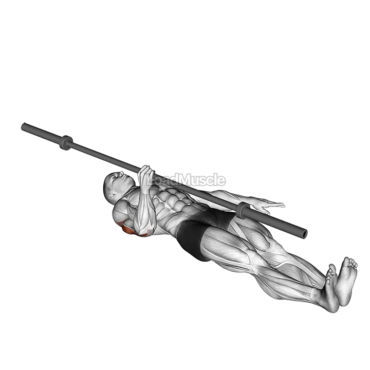 Barbell One Arm Floor Press demonstration