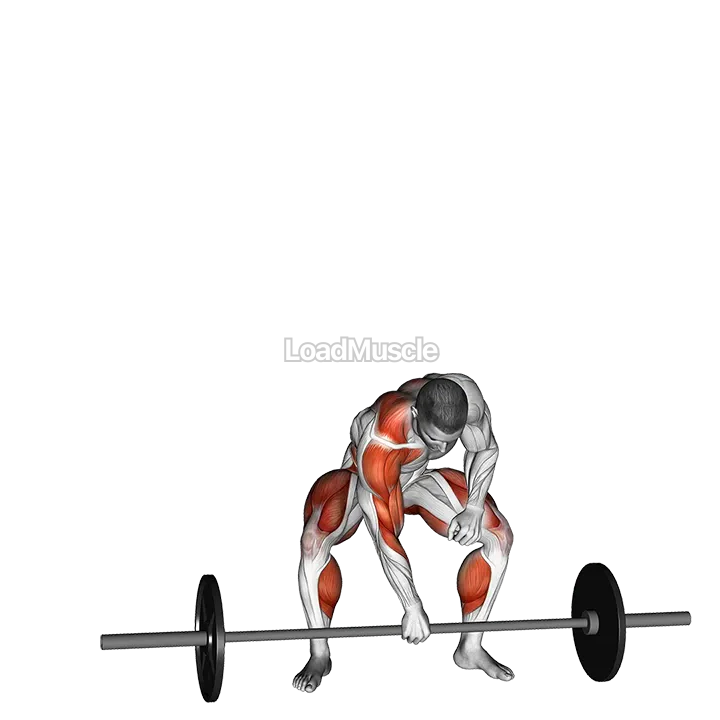 Barbell One Arm Snatch demonstration