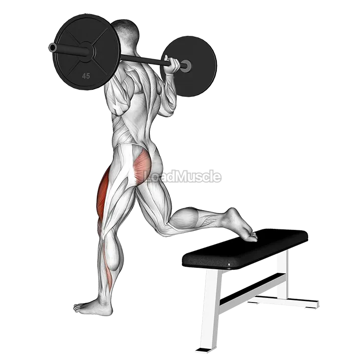 Barbell One Leg Squat demonstration