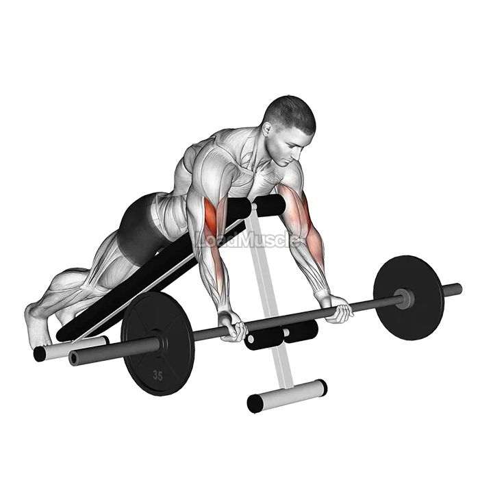 Barbell Prone Incline Curl demonstration