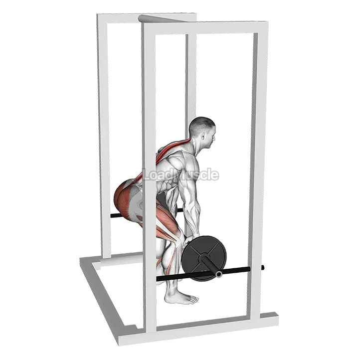 Barbell Rack Pull demonstration