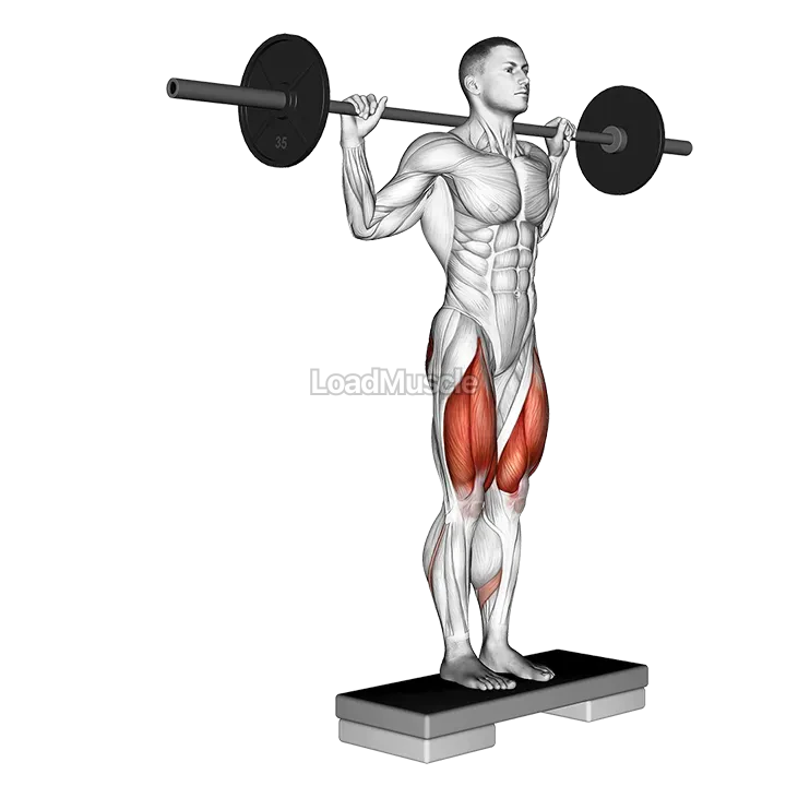 Barbell Rear Lunge demonstration