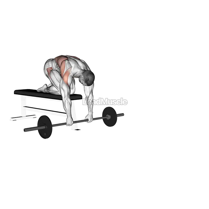 Barbell Rollout from Bench demonstration