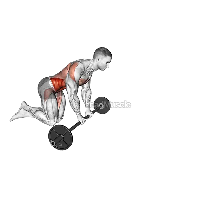 Barbell Rollout demonstration