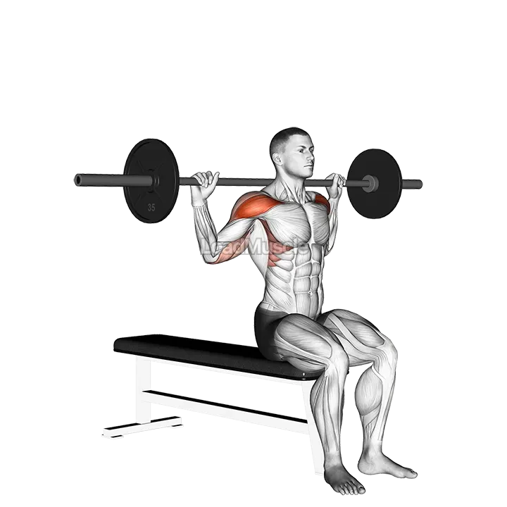 Barbell Seated Behind Head Military Press demonstration
