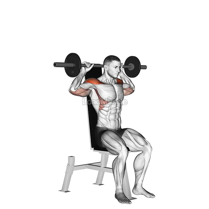 Barbell Seated Bradford Rocky Press demonstration