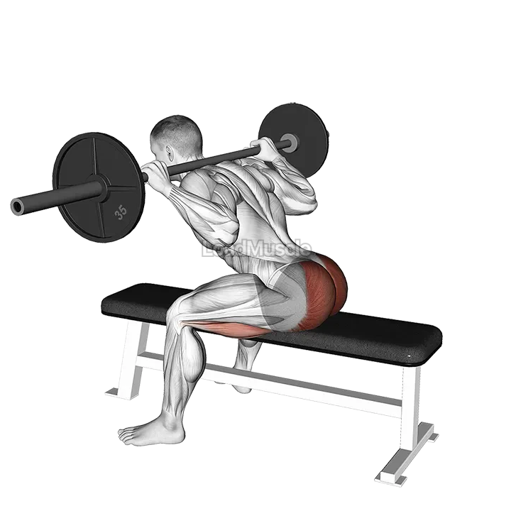 Barbell Seated Good morning demonstration