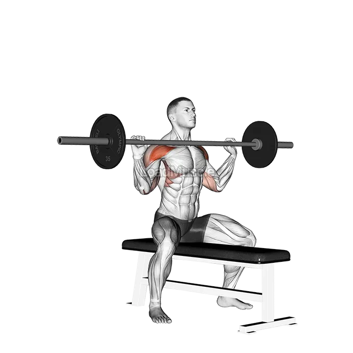 Barbell Seated Overhead Press demonstration
