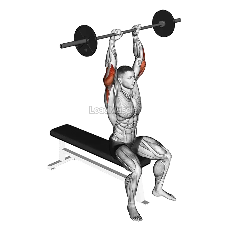 Barbell Seated Overhead Triceps Extension demonstration