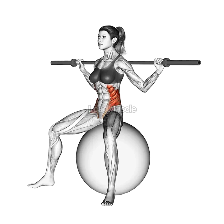 Barbell Seated Twist (on stability ball) demonstration