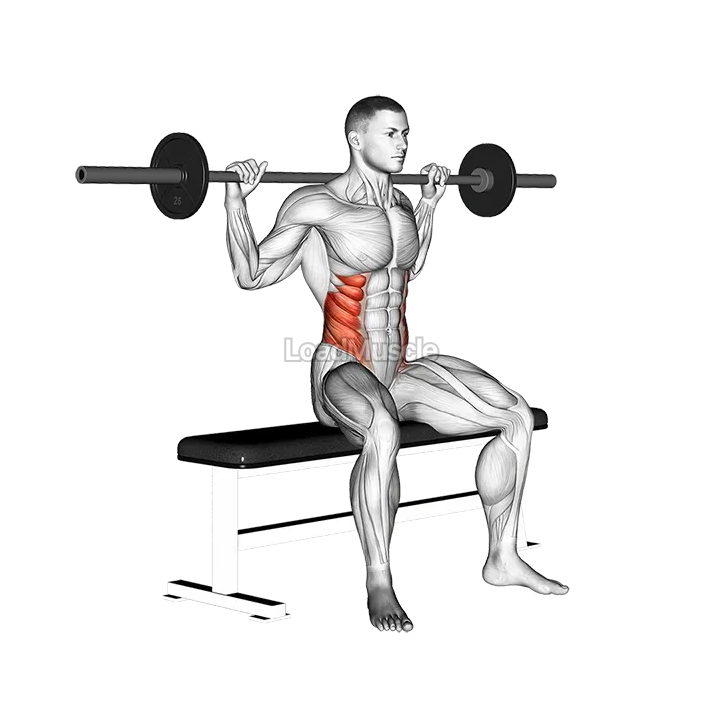 Barbell Seated Twist demonstration