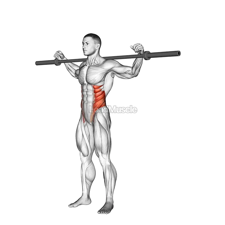 Barbell Side Bent demonstration
