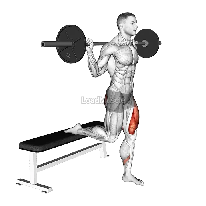 Barbell Single Leg Split Squat demonstration