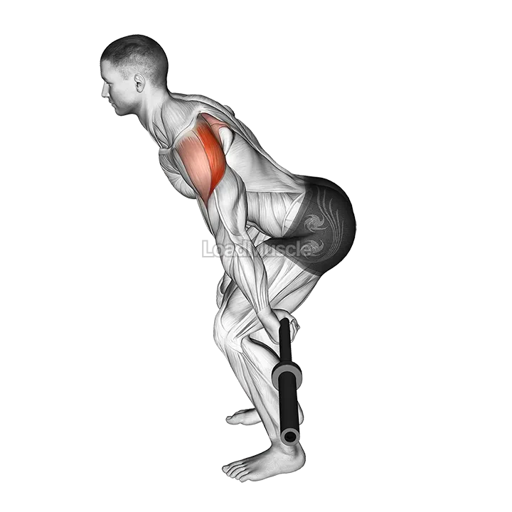 Barbell Skier demonstration