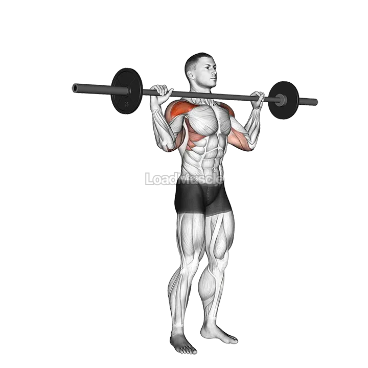 Barbell Standing Bradford Press demonstration