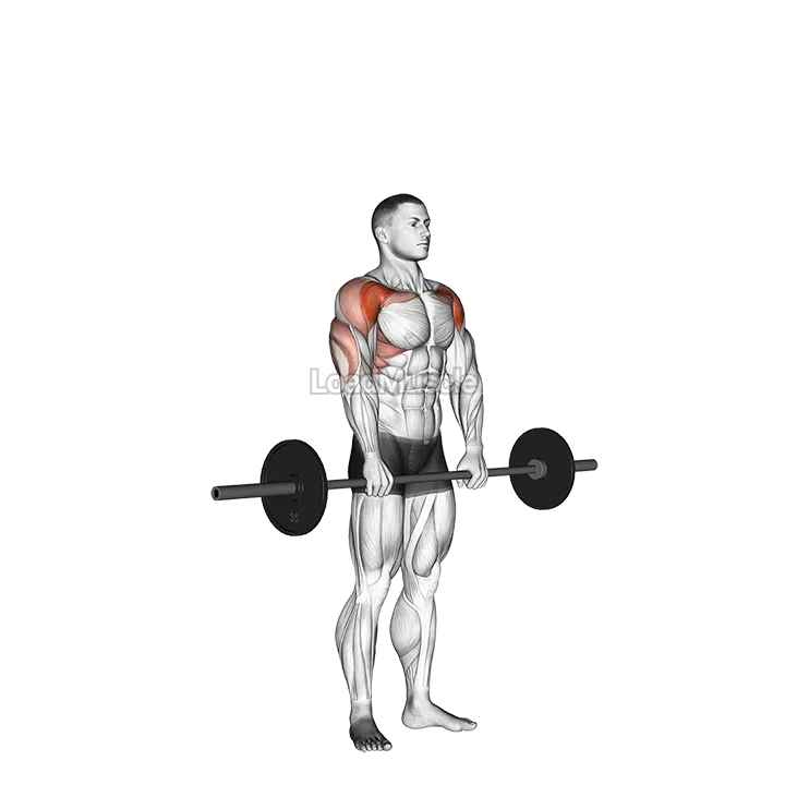 Barbell Standing Front Raise Over Head demonstration