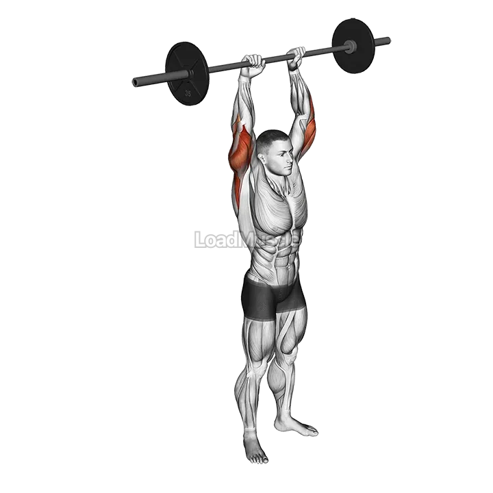 Barbell Standing Overhead Triceps Extension demonstration