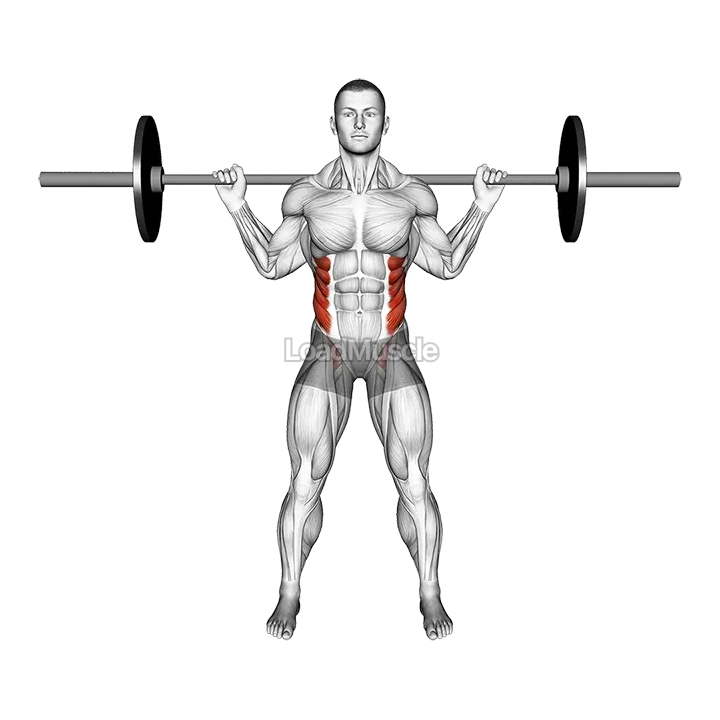 Barbell Standing Twist demonstration