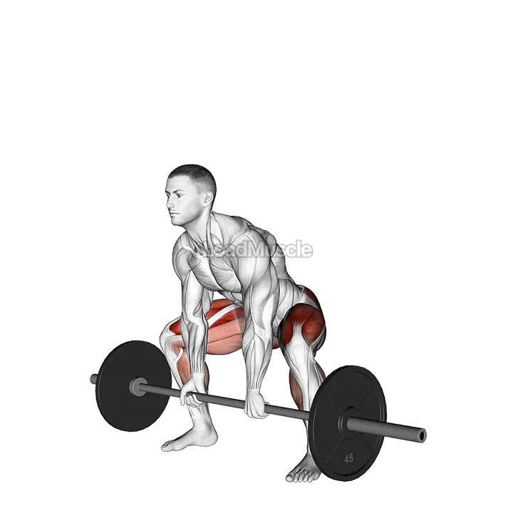 Barbell Sumo Deadlift demonstration