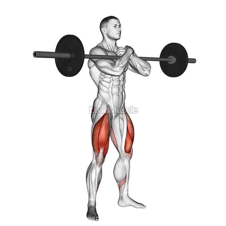 Barbell Zercher Squat demonstration