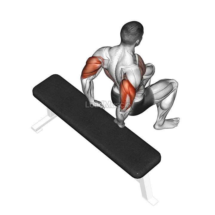 Bench Dip (knees bent) demonstration