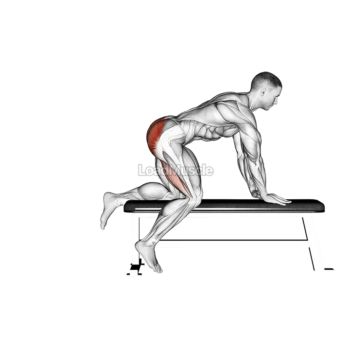 Bench Hip Extension demonstration