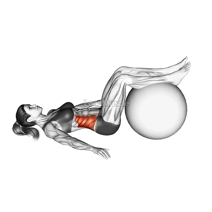 Bent knee Lying Twist (On Stability Ball) demonstration